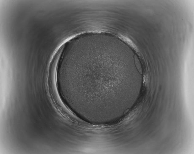 X0000085780724200703161206