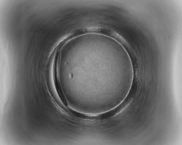 X0000085780725200703161206