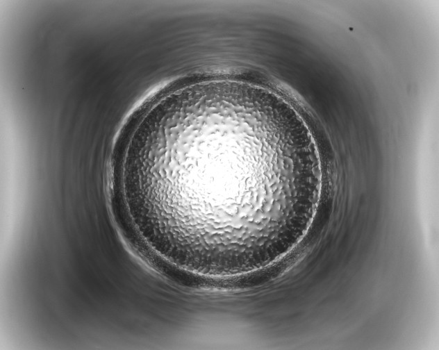 X0000085780726200703161206