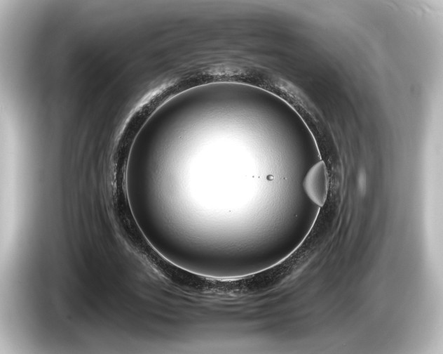 X0000085780727200703161206