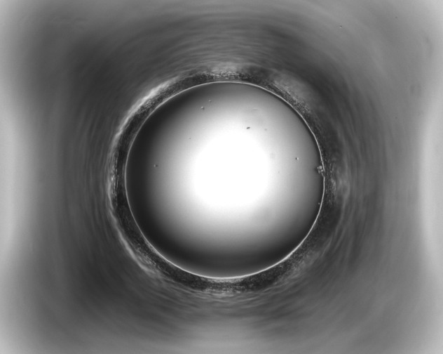 X0000085780728200703161206