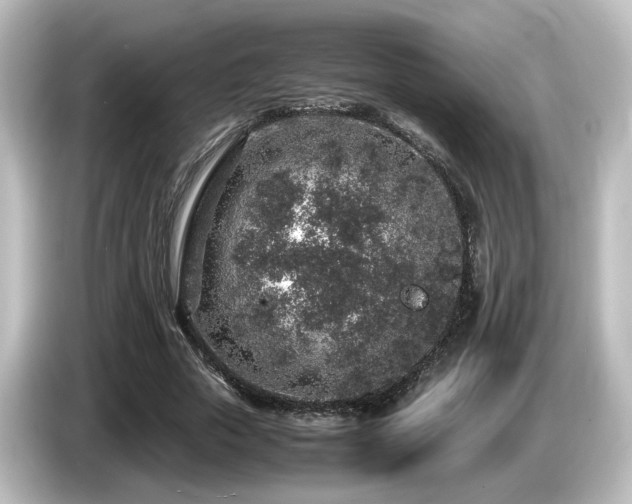 X0000085780729200703161206