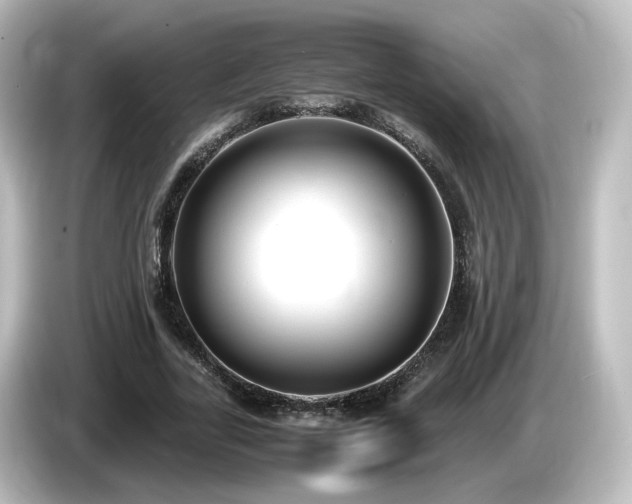 X0000085780731200703161206