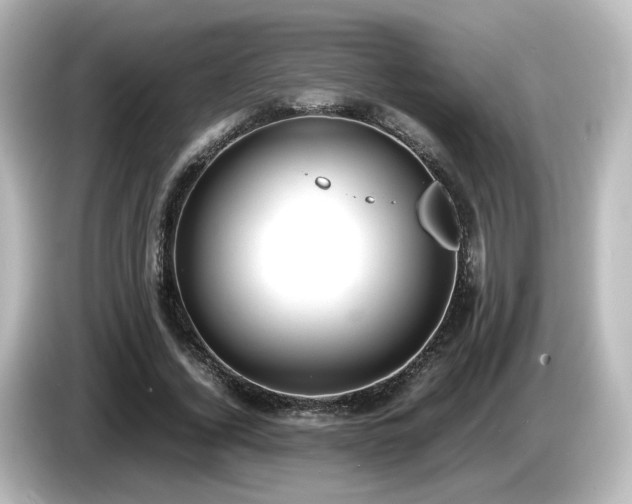 X0000085780732200703161206