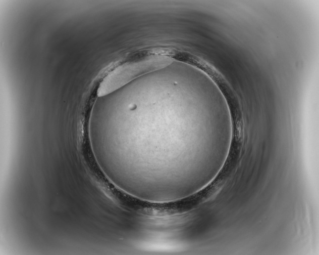 X0000085780733200703161206