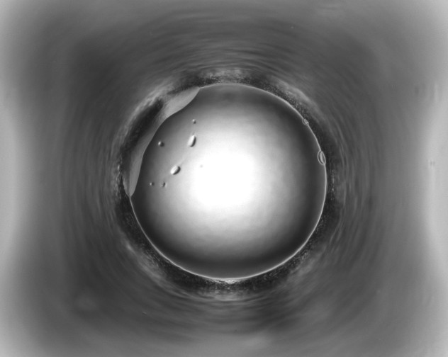 X0000085780735200703161206