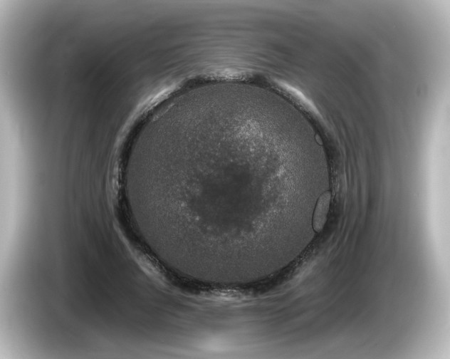 X0000085780736200703161206