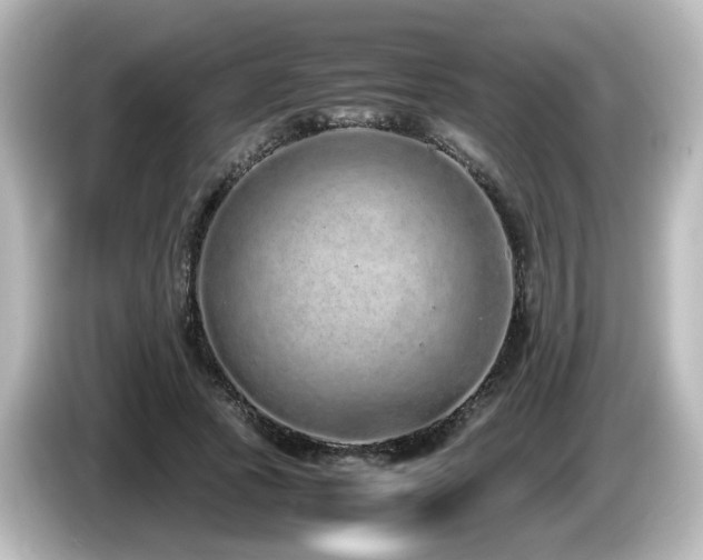 X0000085780737200703161206