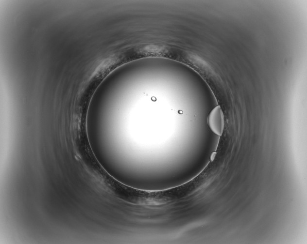 X0000085780739200703161206