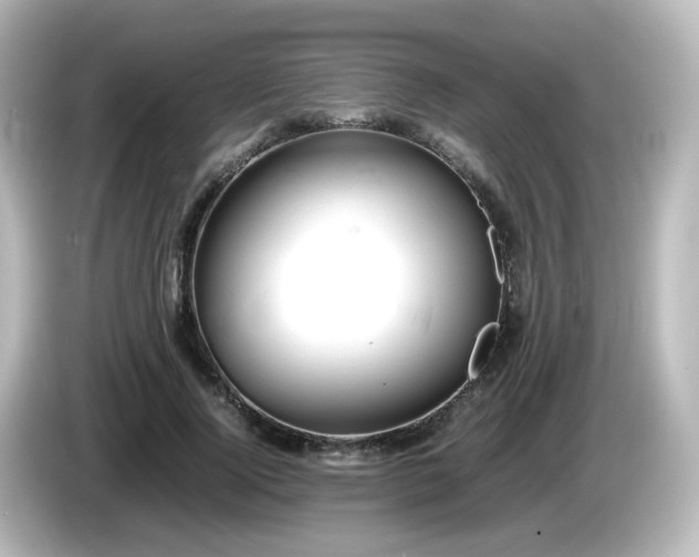 X0000085780740200703161206