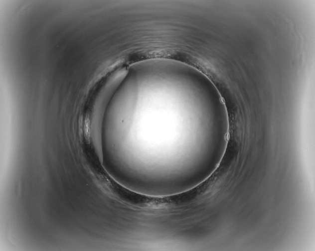 X0000085780742200703161206