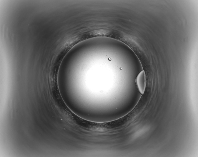 X0000085780743200703161206