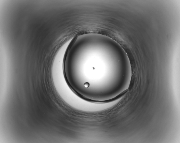 X0000085780744200703161206