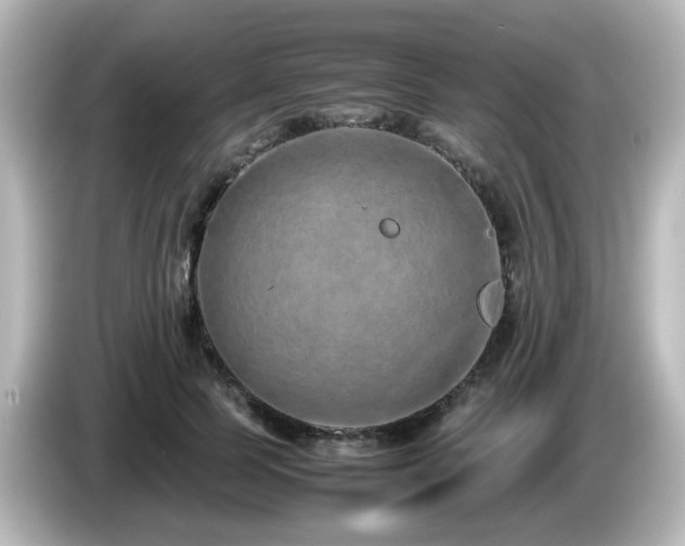 X0000085780745200703161206