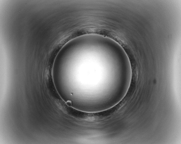 X0000085780746200703161206