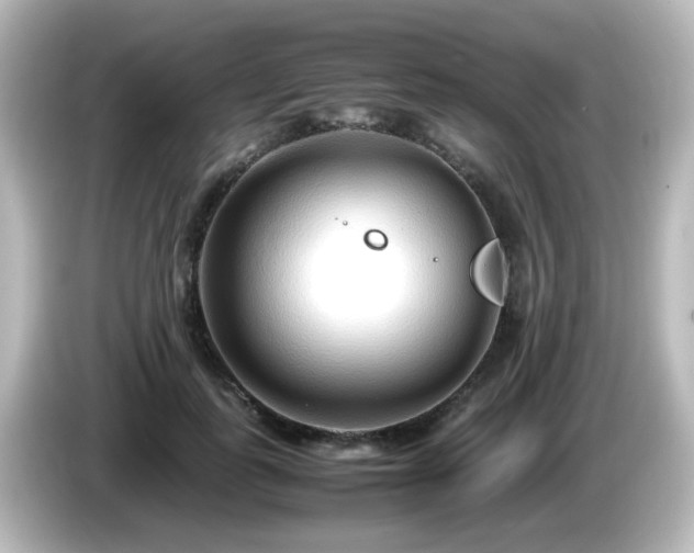 X0000085780747200703161206