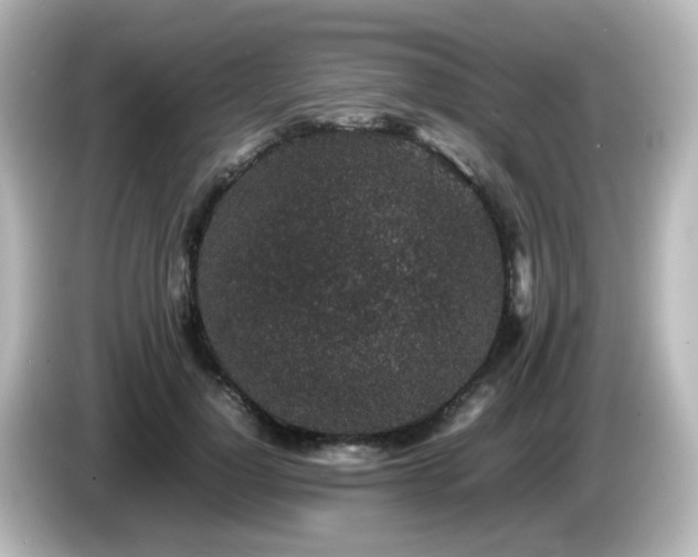 X0000085780748200703161206