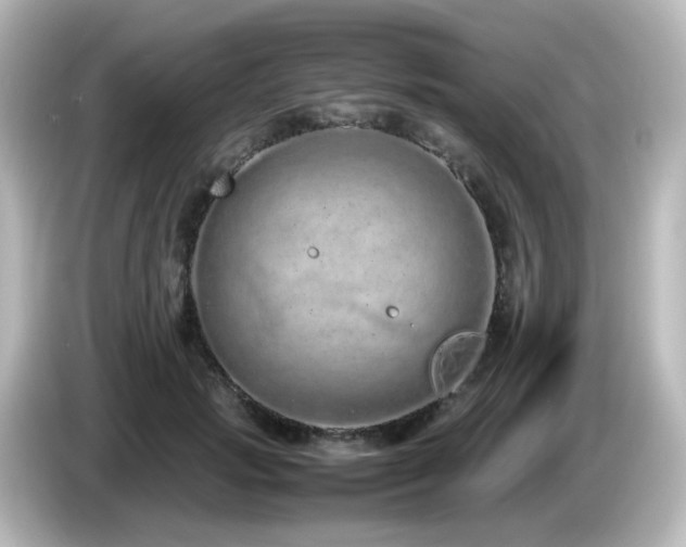 X0000085780749200703161206