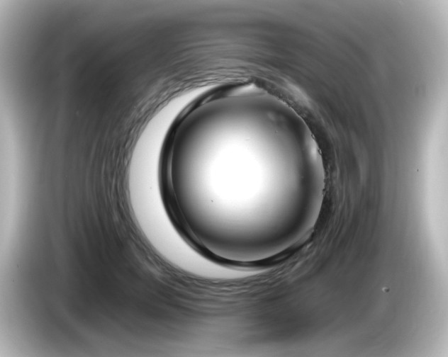 X0000085780750200703161206