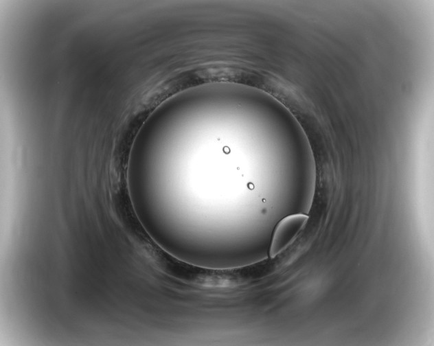 X0000085780751200703161206