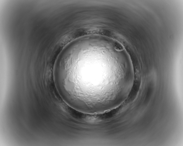 X0000085780753200703161206