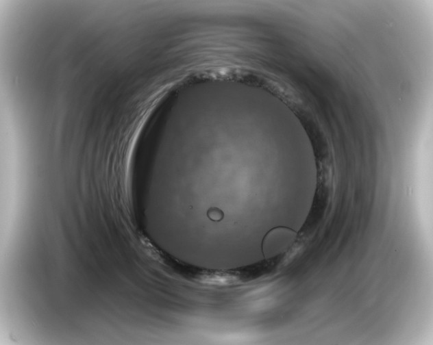 X0000085780754200703161206