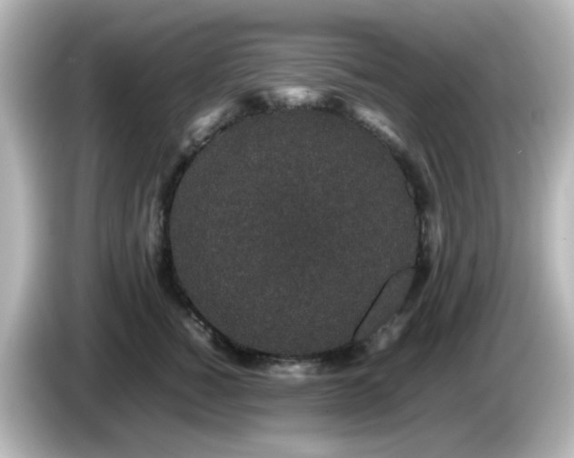 X0000085780760200703161206