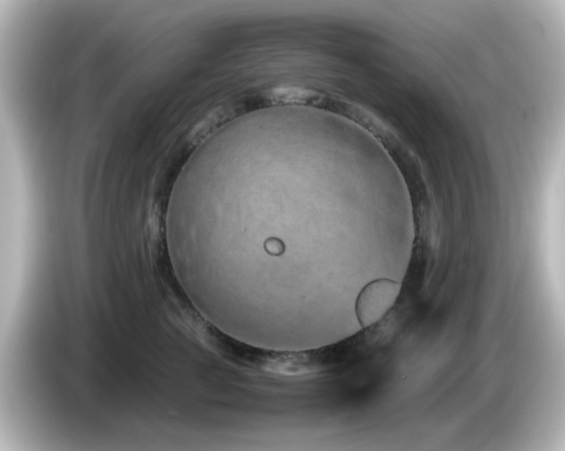 X0000085780761200703161206