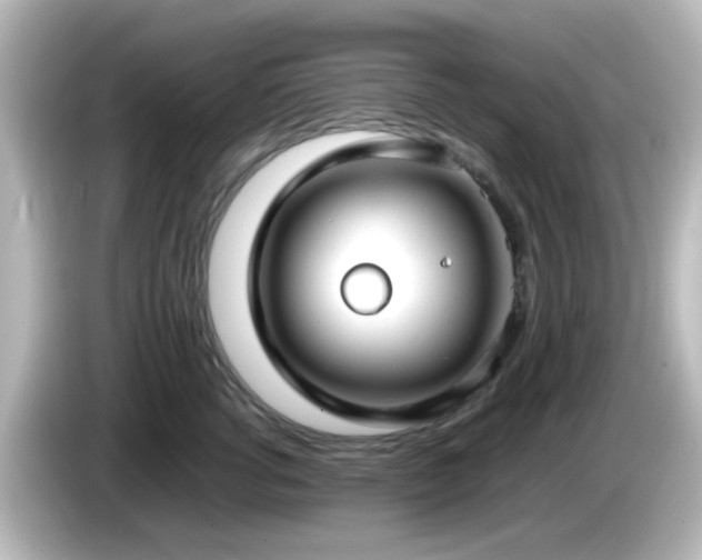 X0000085780762200703161206