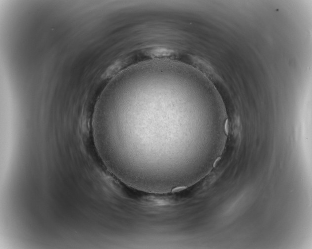 X0000085780763200703161206