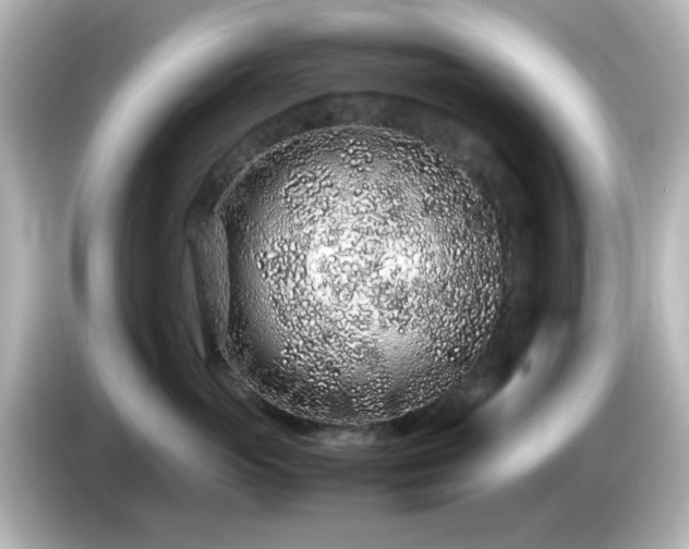 X0000085780765200703161206