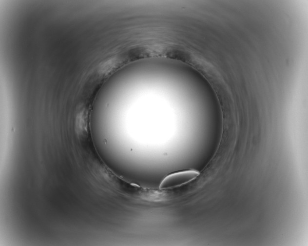 X0000085780768200703161206