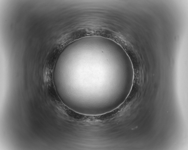 X0000085780770200703161206