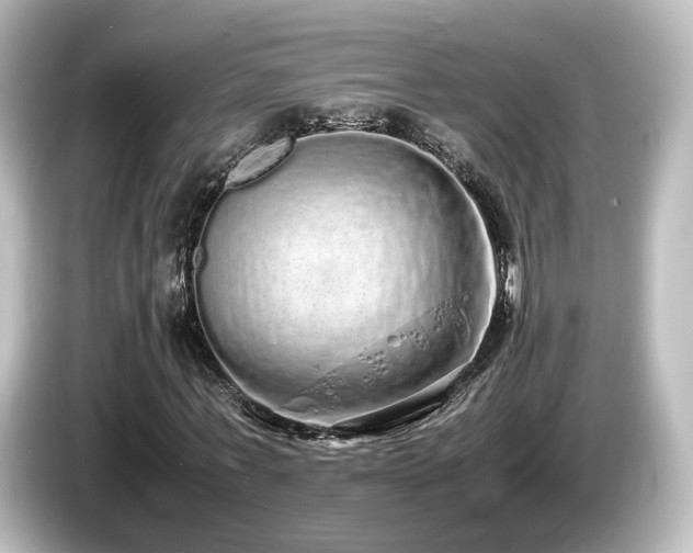 X0000085780771200703161206