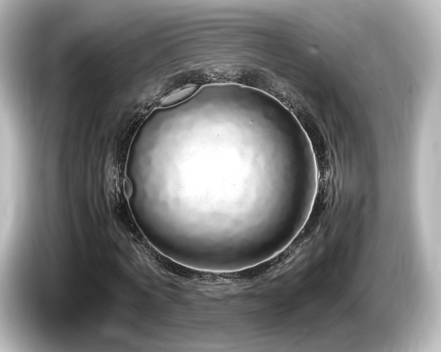 X0000085780772200703161206