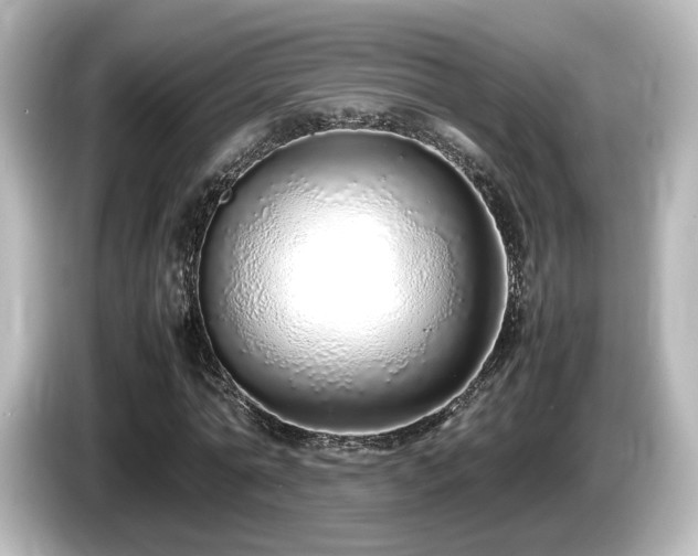 X0000085780774200703161206