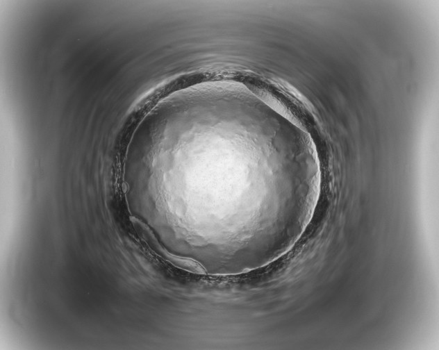 X0000085780775200703161206