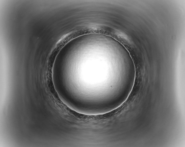 X0000085780776200703161205