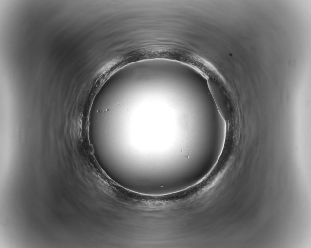 X0000085780777200703161205