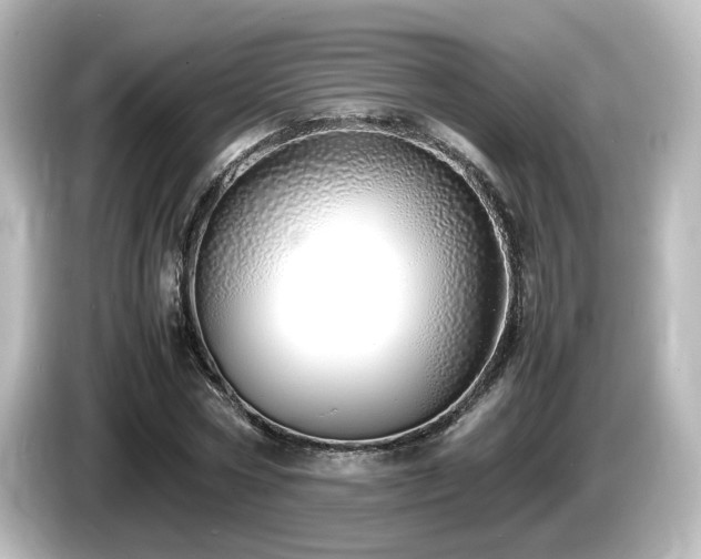 X0000085780778200703161205