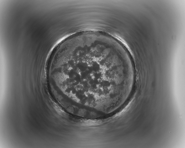 X0000085780779200703161205