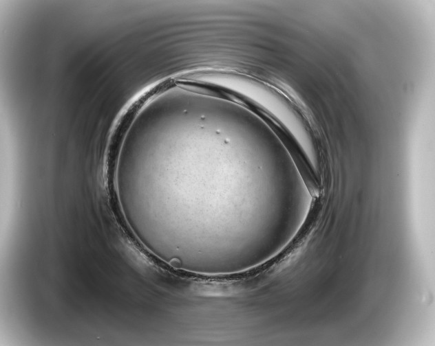 X0000085780780200703161205