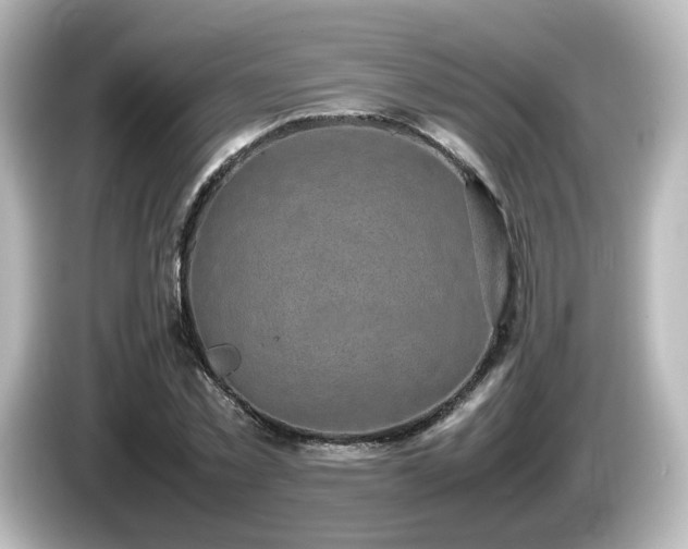 X0000085780781200703161205