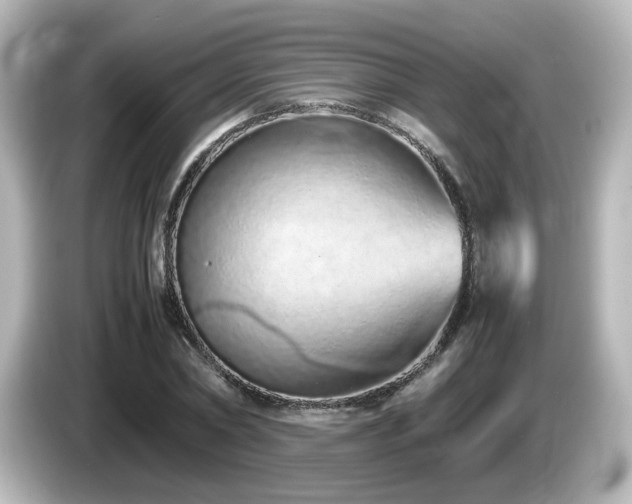 X0000085780782200703161205