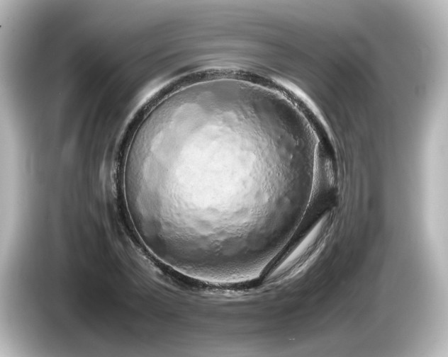 X0000085780783200703161205