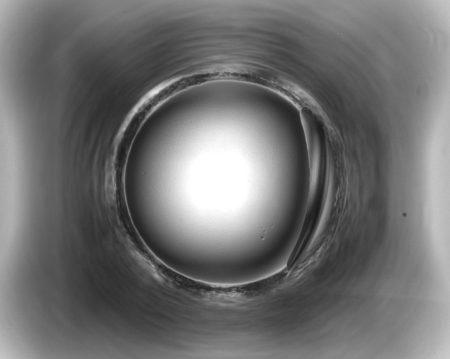 X0000085780784200703161205