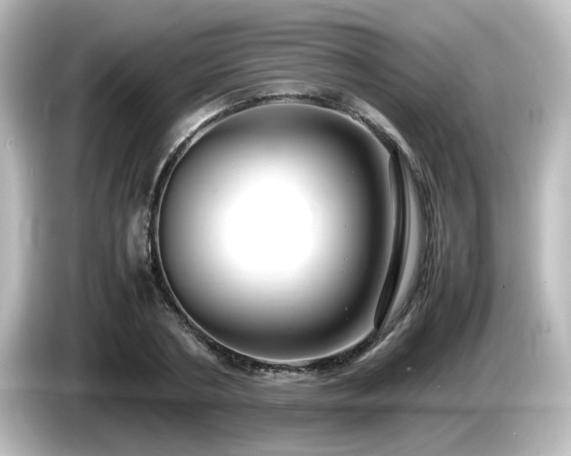 X0000085780786200703161205