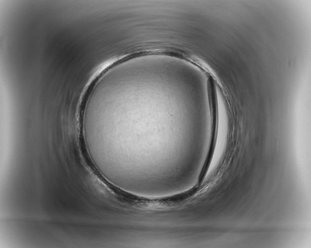 X0000085780787200703161205