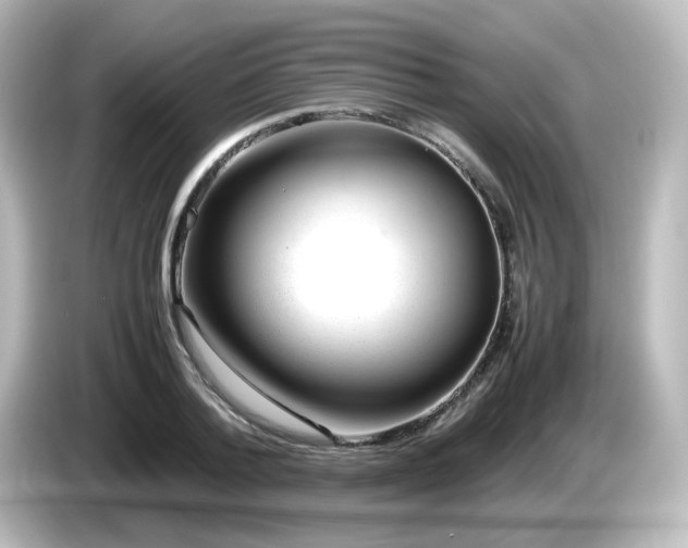 X0000085780788200703161205