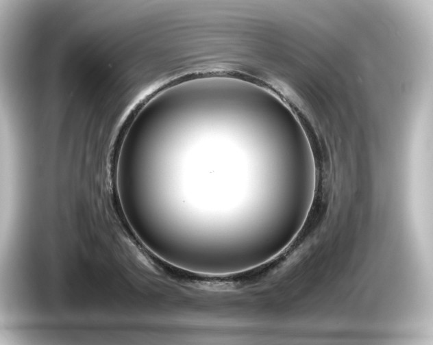 X0000085780789200703161205